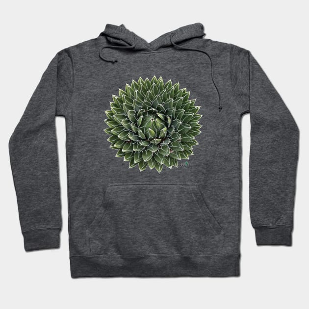 Agave Victoriae Reginae Hoodie by Cactee